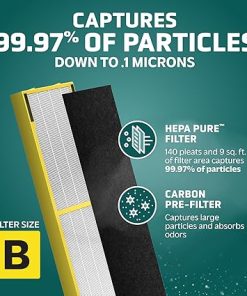 GermGuardian Filter B HEPA Pure Genuine Air Purifier Filter, Removes 99.97% of Pollutants, Wildfire Smoke, Odors, for AC4825, AC4300, AC4850, AC4880, AC4900, CDAP4500, AP2200, Black/Yellow, FLT4825 2